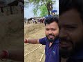 kuchh msti bhare pal aur khushiya #vlog #minivlog #youtubeshorts #youtubeshorts #villagelife