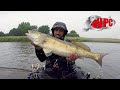 Predator Fishing - The World Predator Classic 2017 (Full Video)