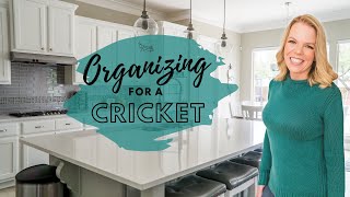 *NEW* Organizing Ideas and Tips for Crickets!