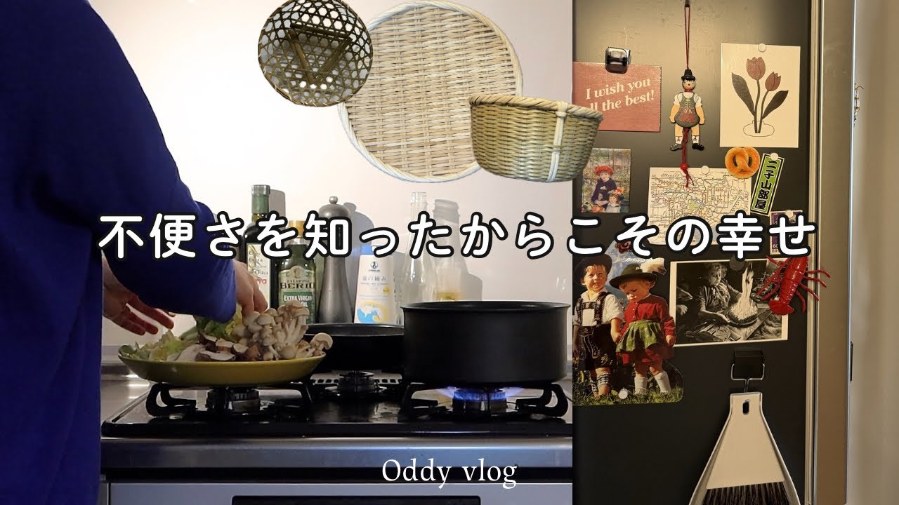 ドイツの不便な生活で価値観が変わった話/肉スライスからの卒業・キッチン改造と最近の暮らし。40代日常vlog