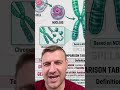 AI Science Slop
