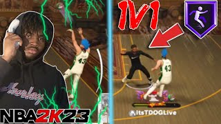 I WENT CRAZY ON THE 1V1 COURT! 21-0 PEOPLE! BREAKING ANKLES! GREENING EVERTHING! 2K23! BEST BUILD!