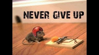 Information Nothing is Impossible Never Give up, motivational /inspirational Story by Sandeep Maheswari News