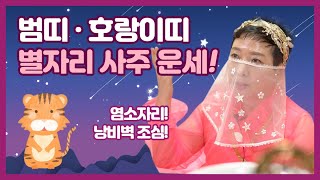 ★범띠 호랑이띠 운세 별자리운세 별자리사주★금전운 재물운 사업운 용인점집 기흥점집 동탄점집 오산점집 오로라공…