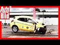 Crashtest Baum-Unfall - Schockierendes Ergebnis