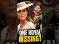 Why Prince Harry Was Missing From This Royal Wedding