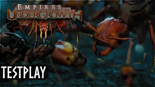 Learn all about ants with this amazing RTS - Empire Undergrowth - Testplay