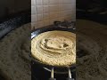 foxtail millet dosa#dose#foxtailmillets#karnataka #food#foodielife #dosen #dance #song