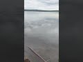 2024 Lake Maumelll 2024 Lake Maumelll