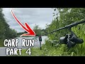 CARP RUN COMPILATION 2021! PART 4! I FishingWorldTV