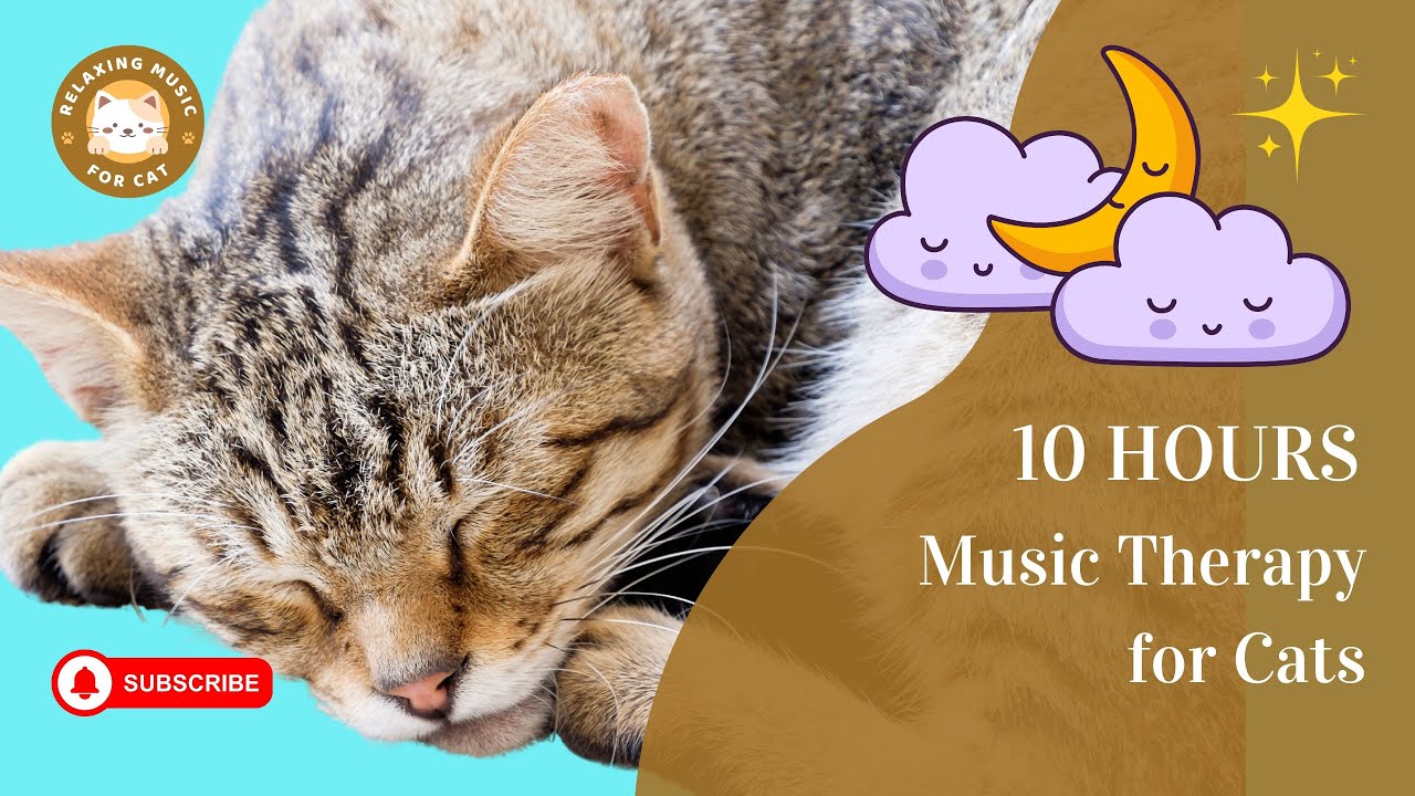 Photo inspiration: Gallery Detail: Music Therapy For Cats 10 Hours Relaxing Music For Cats