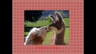 We're in heaven~Vanessa Carlton