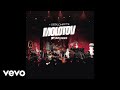 Molotov - Amateur (Rock Me Amadeus)
