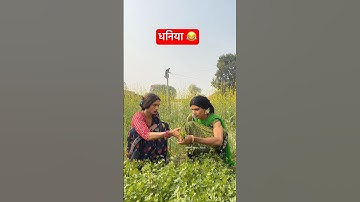 Dhaniya 😂 #anandraja #comedy #comedyvideos #funny #shorts