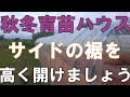 秋冬育苗ハウス裾高く開けましょう210612