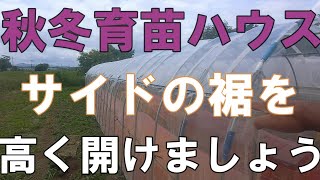 秋冬育苗ハウス裾高く開けましょう210612