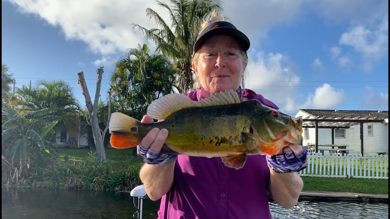 SOUTH FLORIDA PEACOCK BASS  SWC and Coastal Fever TV