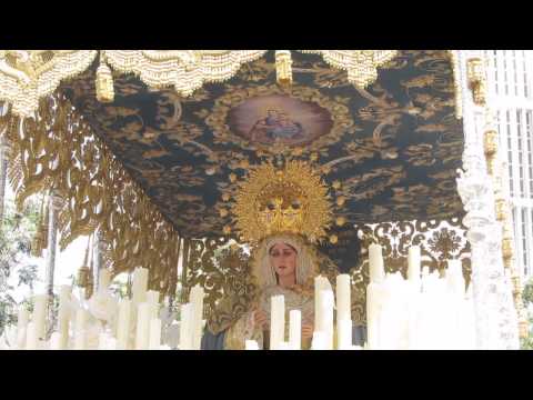 Hospitalaria Hermandad Sacramental de Congregantes de la Concepción Inmaculada de la Santísima Virgen María y Cofradía de Nazarenos del Santísimo Cristo de la Sed y Santa María de Consolación Madre de la Iglesia, San Juan Evangelista y San Juan de Dios