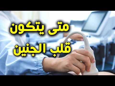 فيديو: كيف ينمو القلب عند الجنين؟