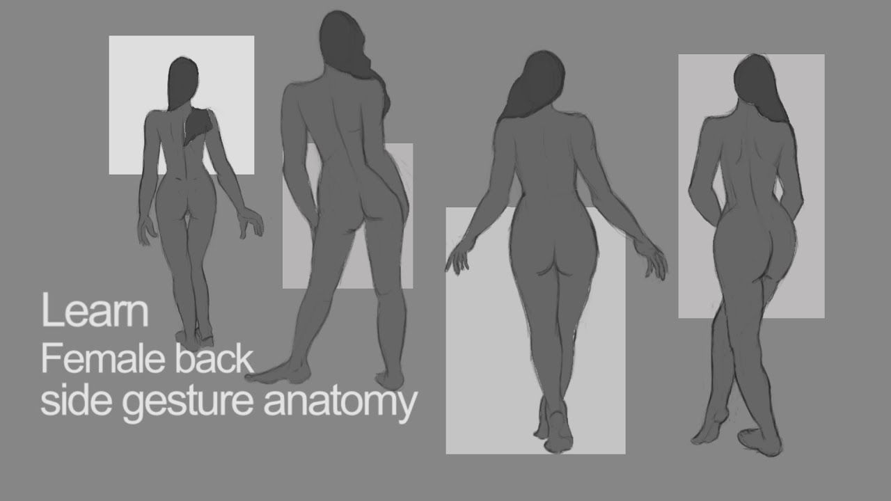 Learn How To Draw Full Female Body Back Side Gesture Anatomy Learn How To Draw Female Body Curve Youtube