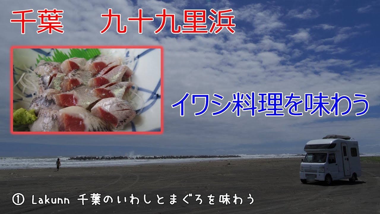 ①ラクーン旅　千葉のいわしとまぐろを味わう