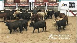Full Kit Kat Sugar - Reserve Champion - 2012 NCHA Super Stakes Update