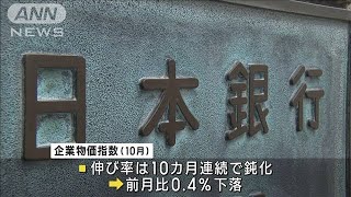 10月の企業物価指数　0.8％上昇も10カ月連続で伸び率鈍化(2023年11月13日)