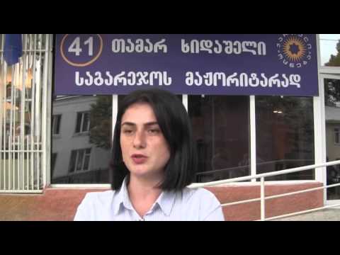 თამარ ხიდაშელი ბადიაურისა და ყანდაურის მოსახლეობას შეხვდა