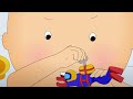 Caillou and the Water Toy | Caillou Cartoon