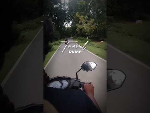 Travel Dumb 🗿🍷 #shorts #trending #viral