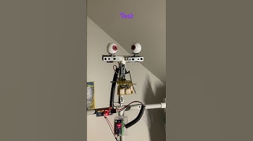 Foxy #animatronic #fnaf #fnafmovie #homemade