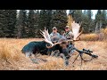 Woman kills giant shiras moose  idaho 2020 