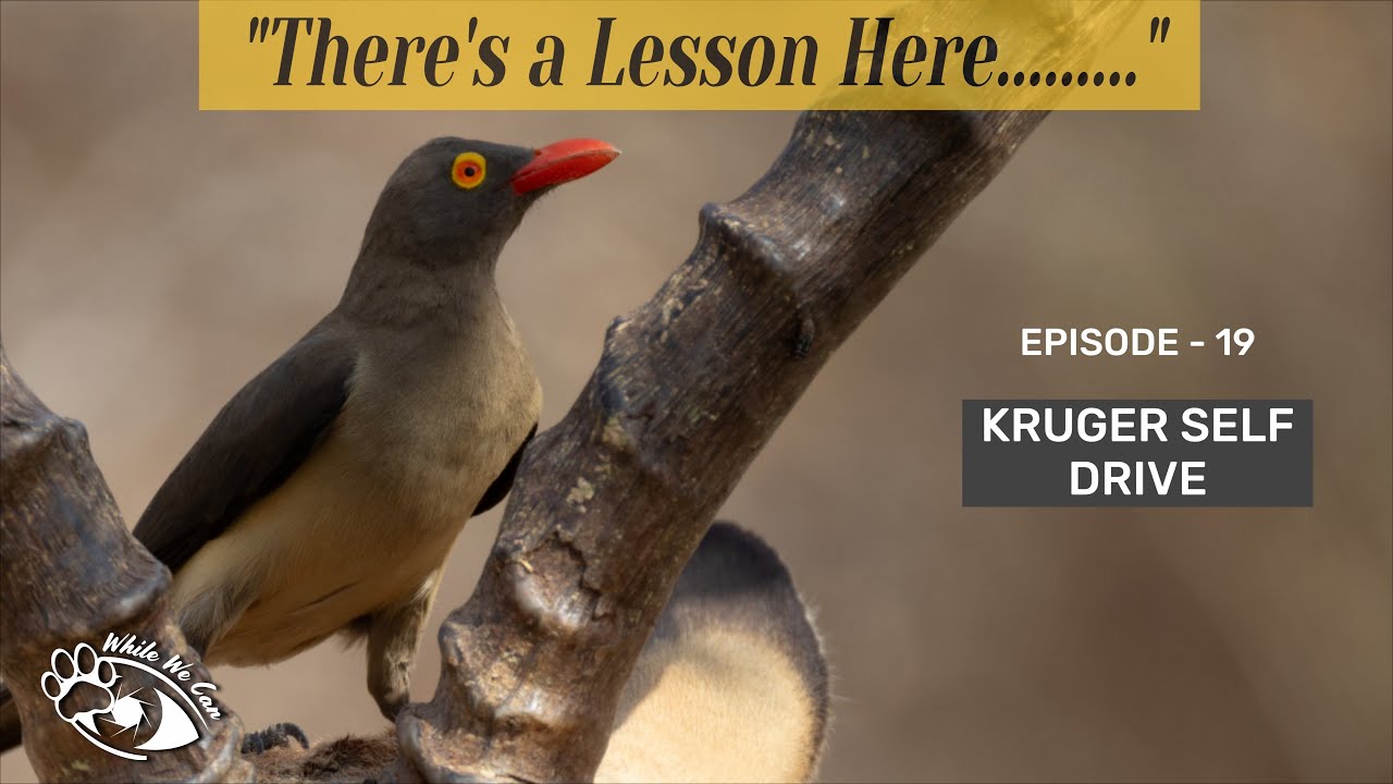 Risk, and Reward - Lessons from Kruger (19)