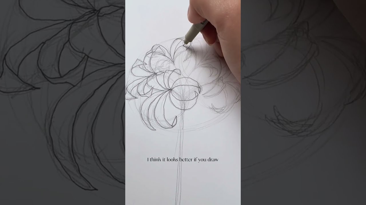 shoujoromance  Flower drawing Flower drawing tumblr Blossoms art
