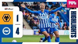 FA Cup Highlights: Wolves 1 Brighton 4