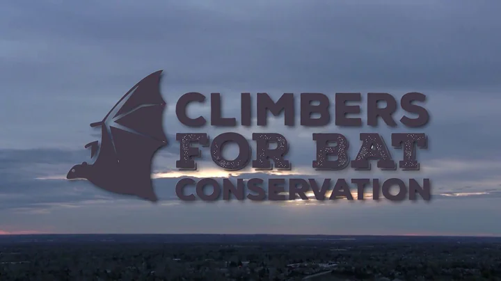Rob Schorr Talks Bats