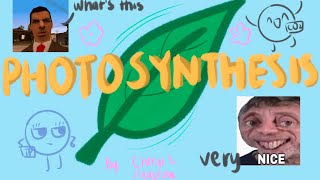 Photosynthesis: The Ultimate Plant Power Factory (A-levelAQA Biology )