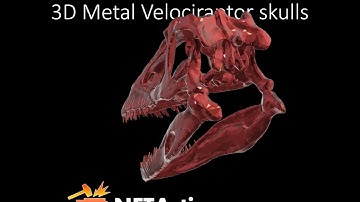 RAPTOSKULLS: Tezos NFT Interactive 3D Metal Velociraptor Skulls
