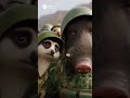 Мы в Азии #animals #смешновидео #funny #смешнойшортс #мультик #шуточное