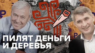 Леса нет, а тачка есть: как Николаев и Аксаков наживаются на Чебоксарах