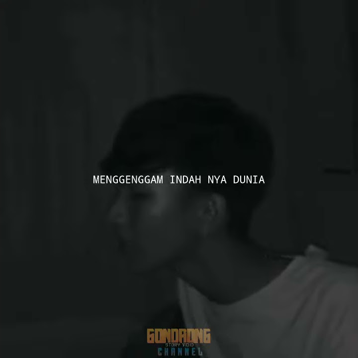 Story Wa || MEMIKIRKAN DIA - SEVENTEEN(Cover)