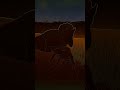 The Isle Moments #dinosaur #deinosuchus #triceratops #edit #shorts #funny