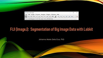 FIJI (ImageJ): Segmentation of Big Image Data with Labkit