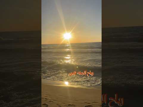 سيري يا مراكب فينا