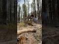 Something about a good woods ride #hardenduro #dirtbike #enduro #2t 