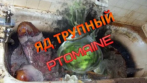 Токсичный яд Трупный. Птомаины. Факты о трупном яде.