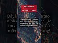 Phân kỳ RSI #trading