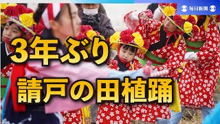 3年ぶりに請戸の田植え踊り奉納　福島・浪江町