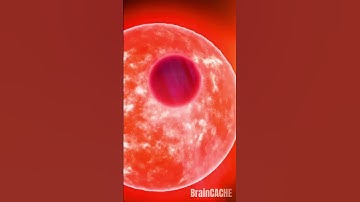 Unveiling the Secrets of Space Transition||A Deep Dive into the Fascinating World of Space|| #shorts