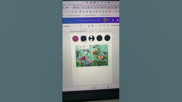Create a quick Color Palette in Canva from any Image | Beginner Canva Tips and Tricks #canva
